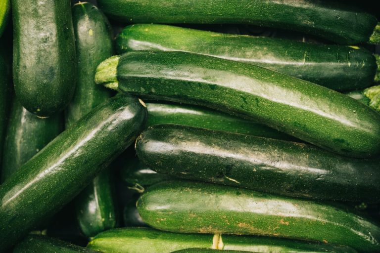Courgettes vertes fraîchement cueillies