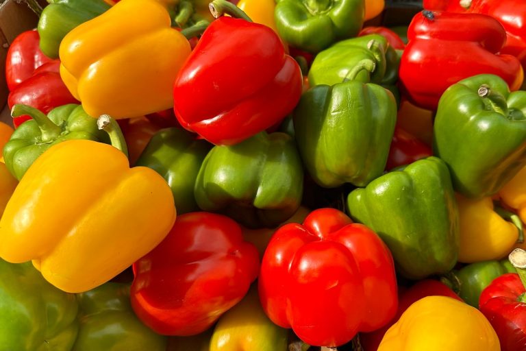 Poivrons rouges, jaunes et verts