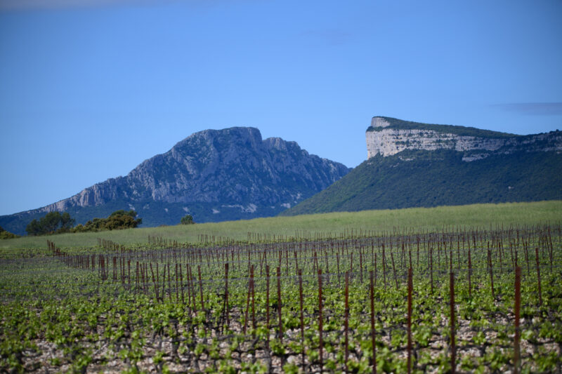 Les clos de Biranques en AOP Pic St Loup
