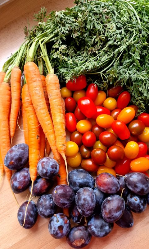 Tomates fraîches et carottes récoltées à la ferme